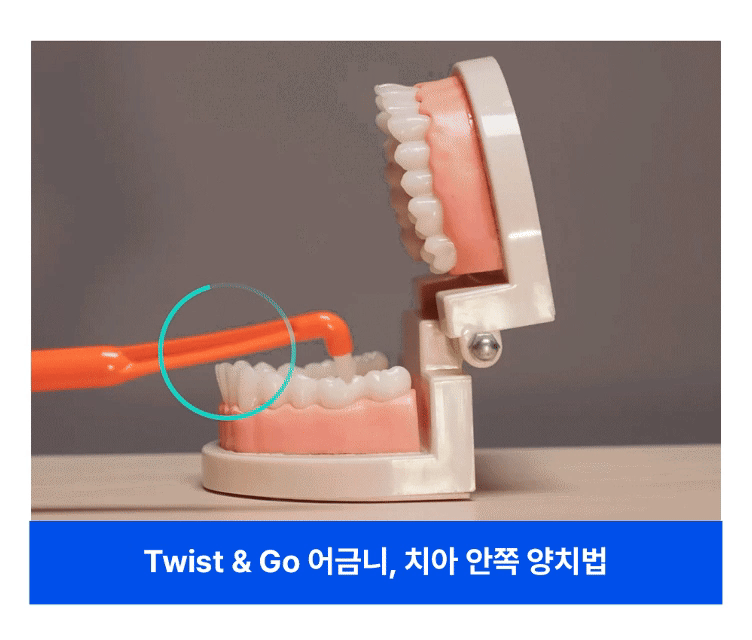 9-3. 양치법_2.gif